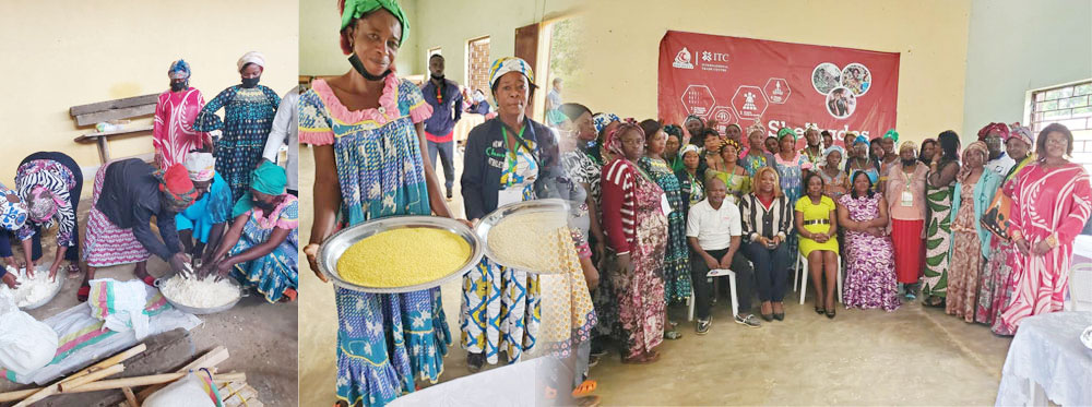 Renforcement des capacités de production et de transformation des femmes entrepreneures de la filière manioc